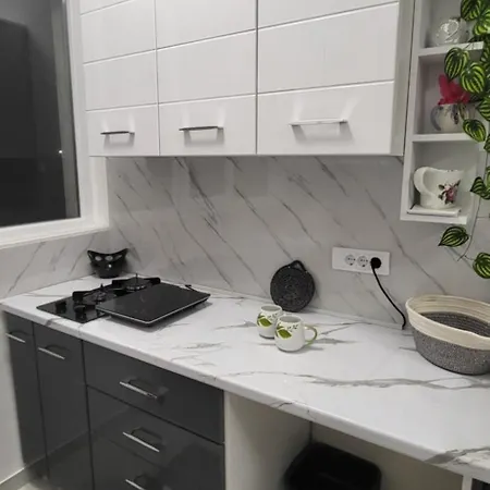 Apartman Jelena Vrsac Exterior photo