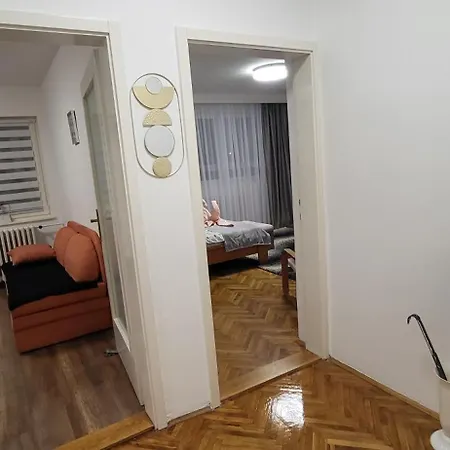 Apartman Jelena Vrsac Exterior photo